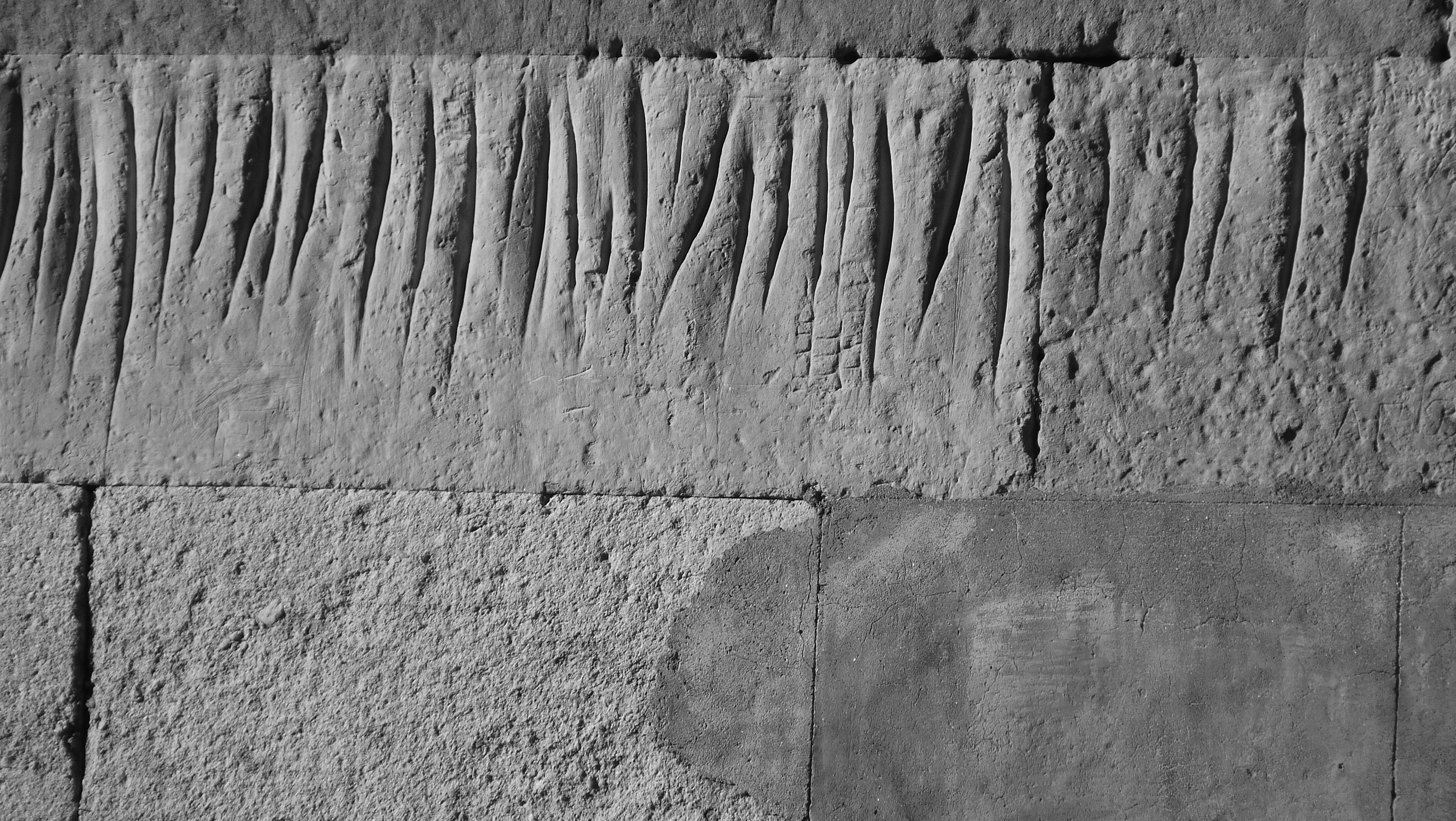 ·················   josé luis torá   ……………..